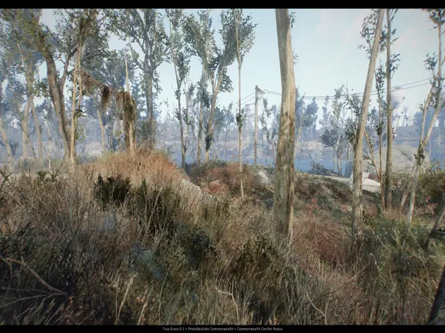 Grama Real - Fallout 4 2